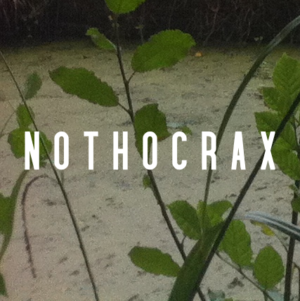 Nothocrax